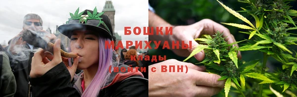 PSILOCYBIN Алзамай