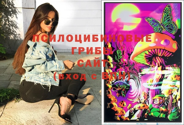 мяу мяу мука Абаза