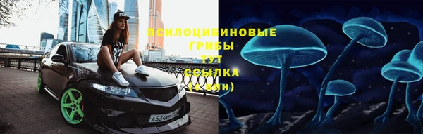 PSILOCYBIN Алзамай