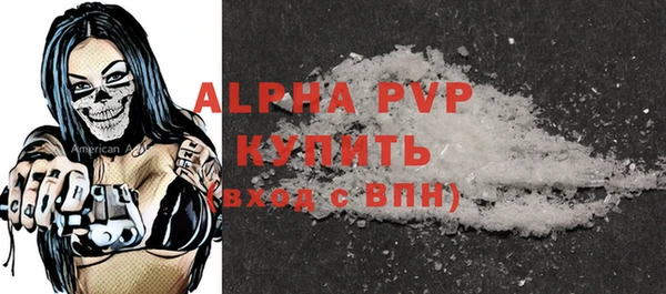 СК Алексин