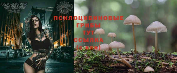 экстази Абинск